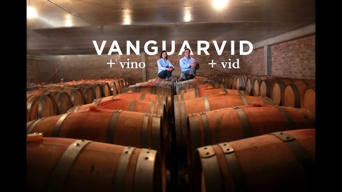 Vanguarvid